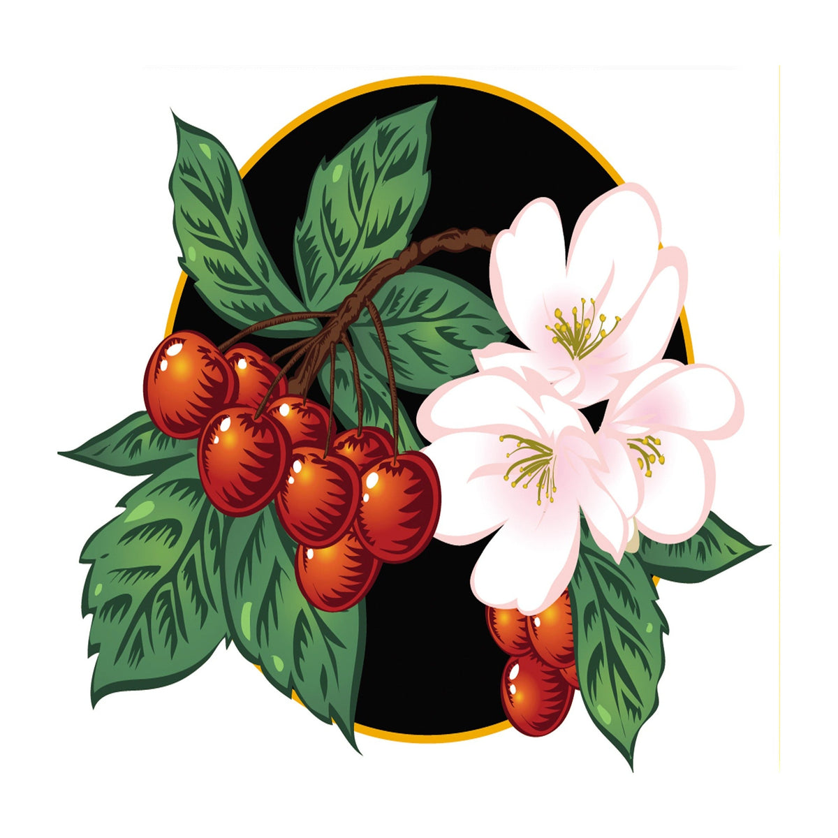 Cherry Flavored Cigars
